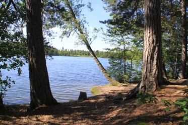 Bild av Katthavet Kvarnsjön
