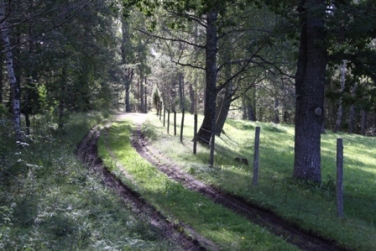 Den gamla körvägen leder in i reservatet