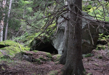 Grottor och skog